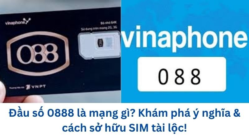 dau-so-0888-la-mang-gi