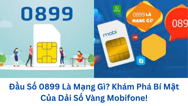 dau-so-0899-la-mang-gi