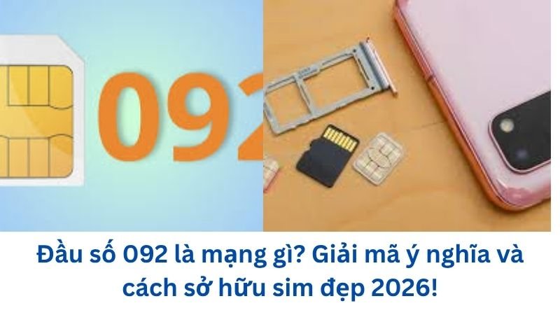 dau-so-092-la-mang-gi