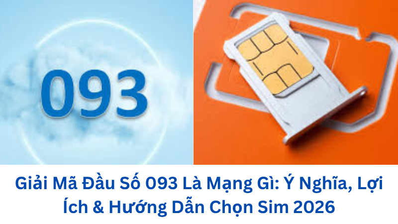 dau-so-093-la-mang-gi