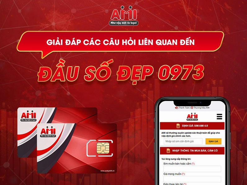 dau-so-0973-la-mang-gi