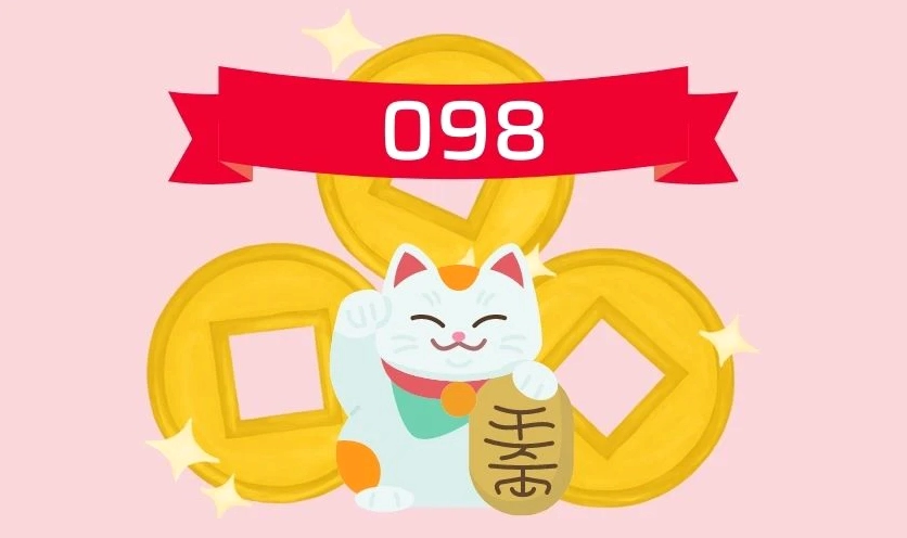 Đầu số 098 là mạng gì, có đẹp không?