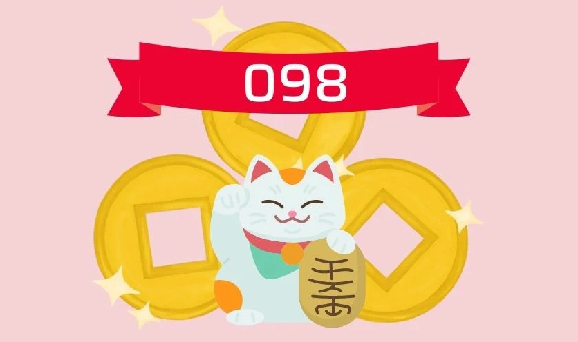 Đầu số 098 là mạng gì, có đẹp không?