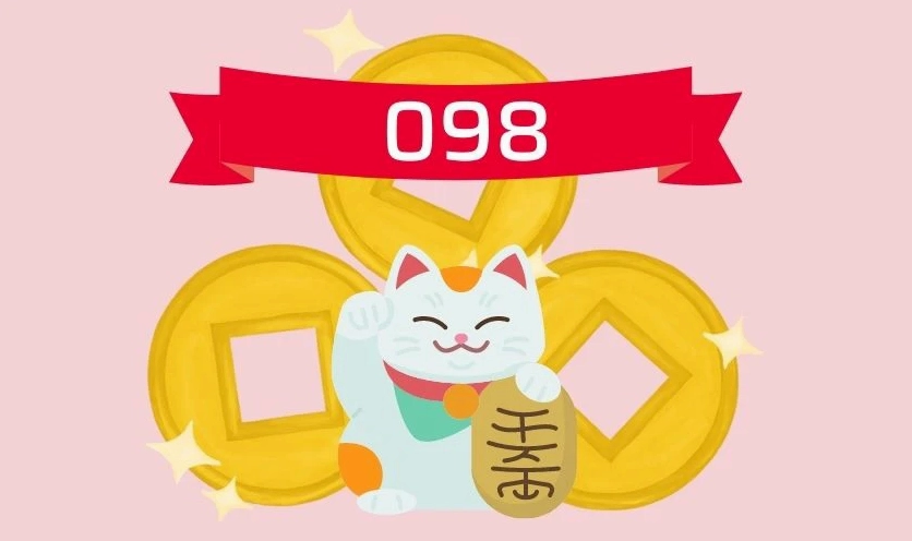 Đầu số 098 là mạng gì, có đẹp không?