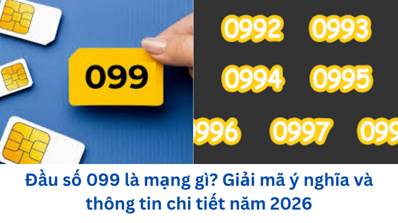 dau-so-099-la-mang-gi