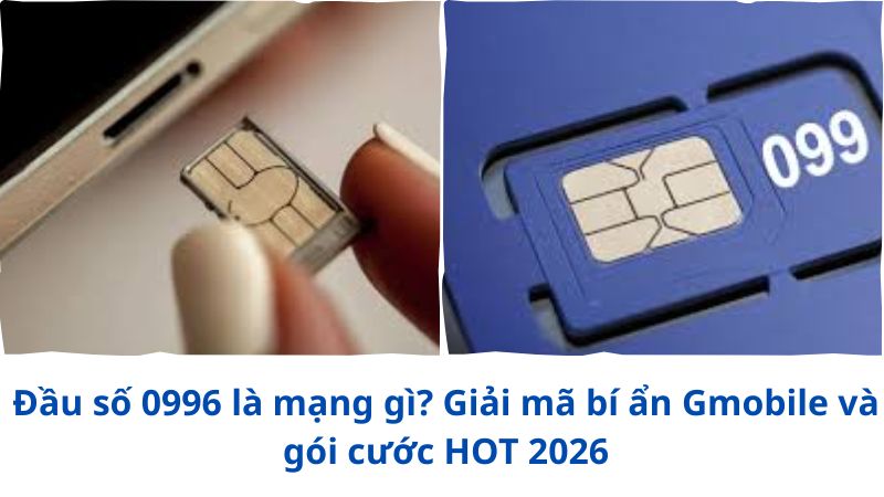 dau-so-0996-la-mang-gi