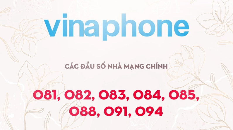 Đầu số nhà mạng VinaPhone là bao nhiêu