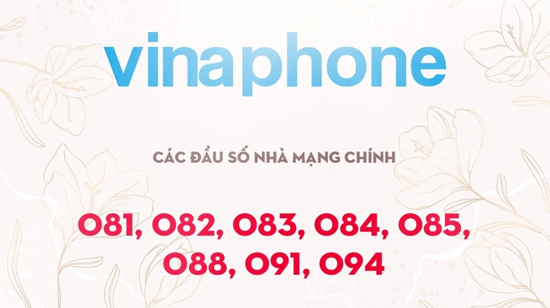 Đầu số nhà mạng VinaPhone là bao nhiêu