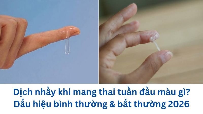 dich-nhay-khi-mang-thai-tuan-dau-mau-gi