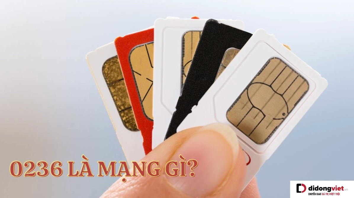 giai-ma-0236-la-mang-gi-tat-tan-tat-ve-ma-vung-da-nang-2026_620