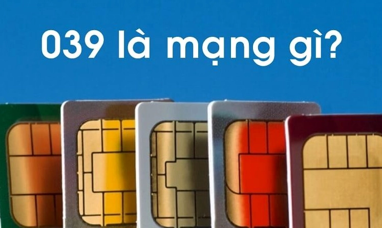 giai-ma-strong0393-la-mang-gistrong-tat-tan-tat-ve-dau-so-vi_294