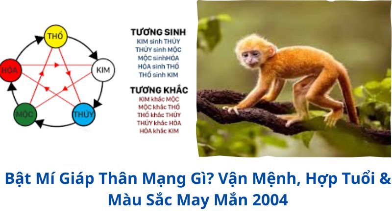 giap-than-mang-gi
