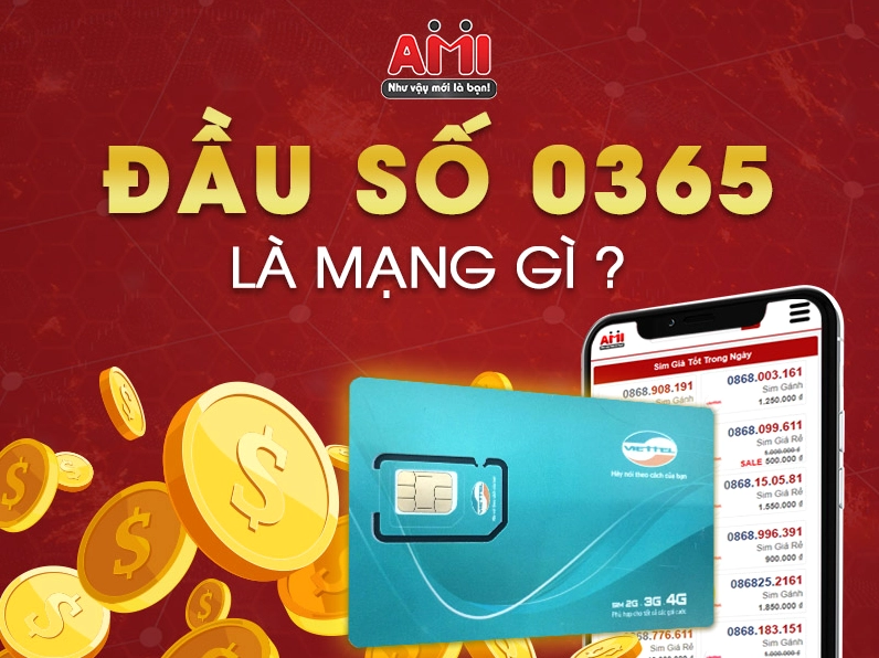Hình ảnh minh họa cho câu hỏi 0365 là mạng gì