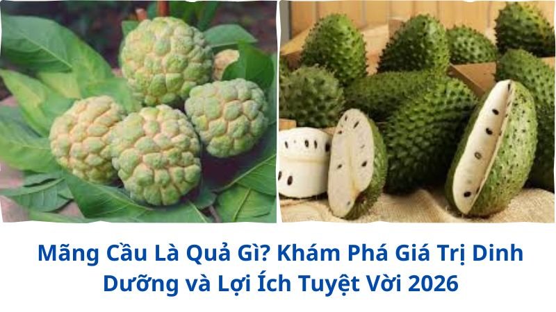 mang-cau-la-qua-gi