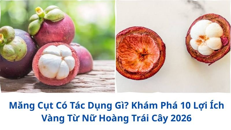 mang-cut-co-tac-dung-gi