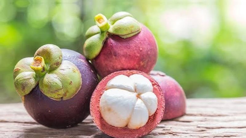 mang-cut-tieng-anh-la-gi-2