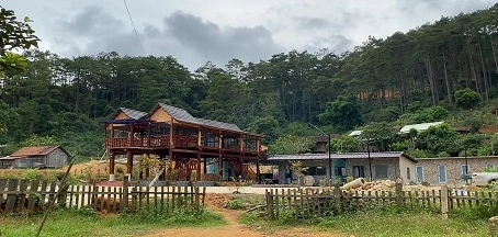 mang-den-co-gi-kham-pha-da-lat-thu-nho-day-me-hoac-nam-2026_943