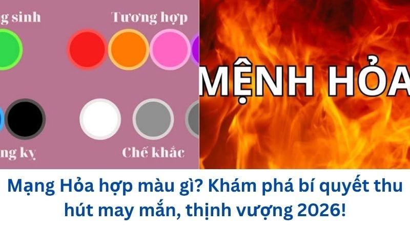 mang-hoa-hop-mau-gi