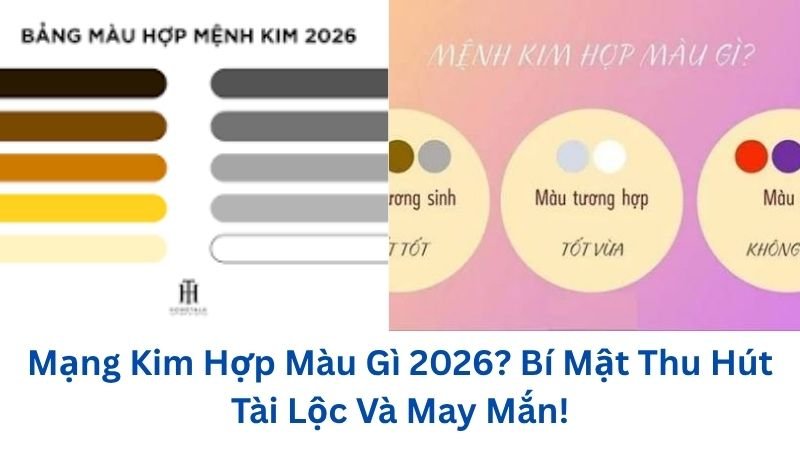 mang-kim-hop-mau-gi