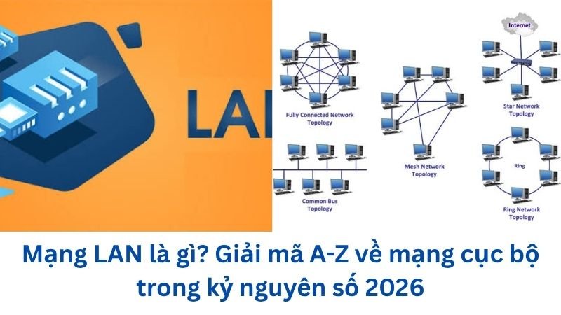 mang-lan-la-gi