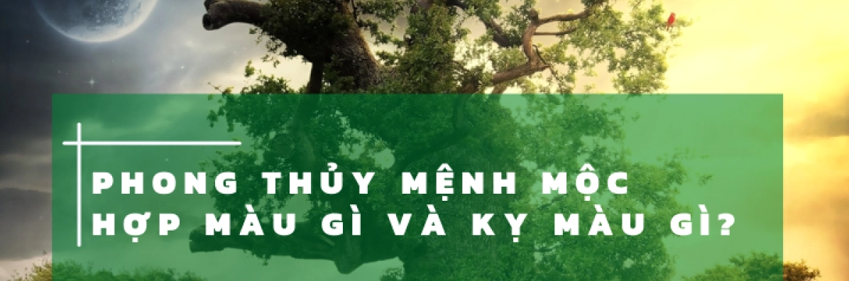 mang-moc-hop-mau-gi-2026-kham-pha-mau-sac-phong-thuy-thu-hut_746