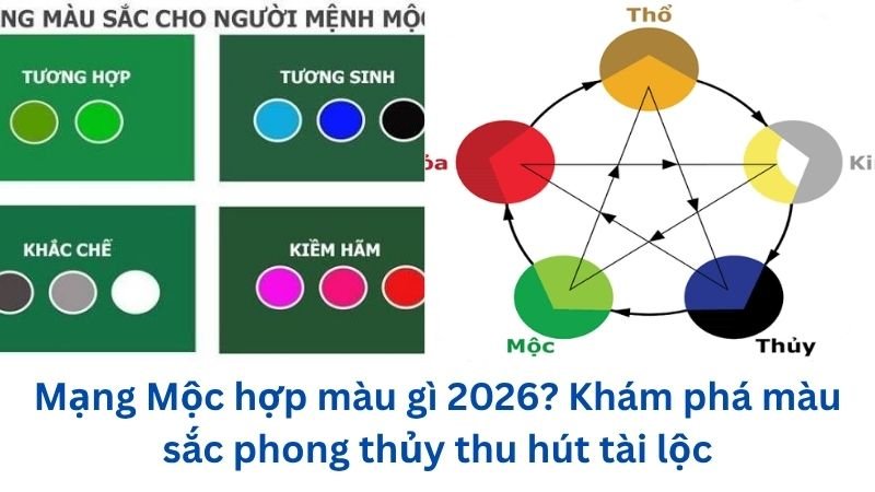mang-moc-hop-mau-gi