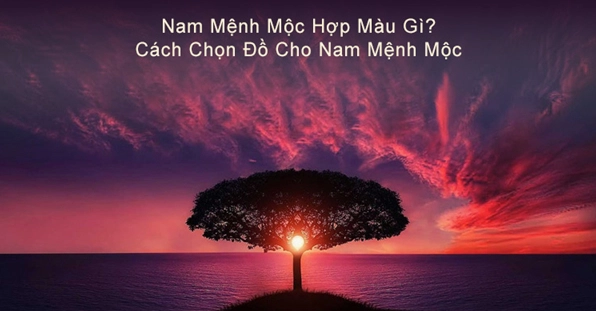 mang-moc-hop-voi-mau-gi-2026-kham-pha-bi-quyet-thu-hut-may-m_437