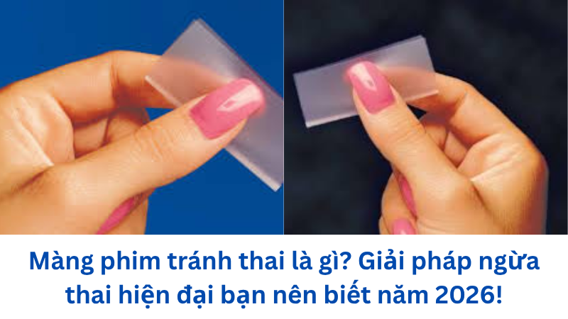 mang-phim-tranh-thai-la-gi