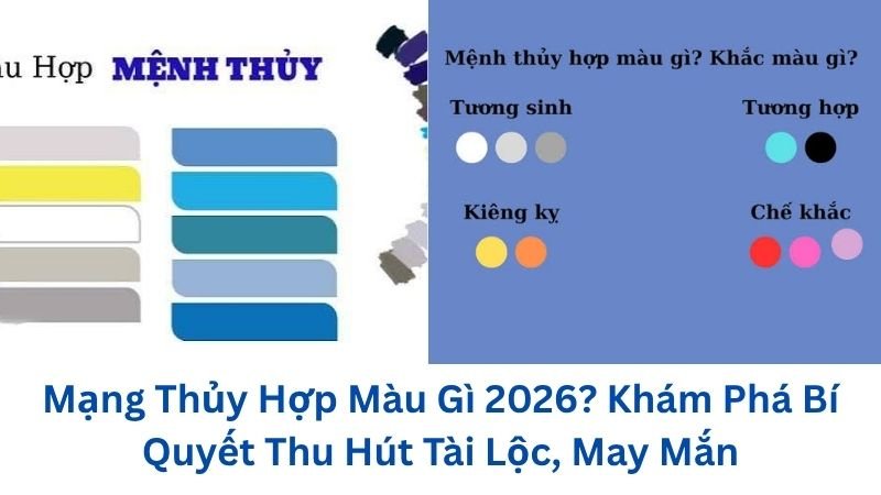 mang-thuy-hop-mau-gi
