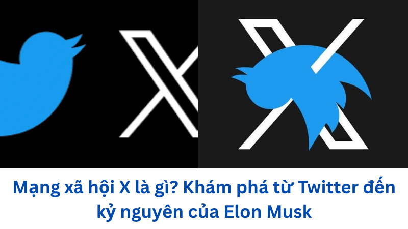 mang-xa-hoi-x-la-gi