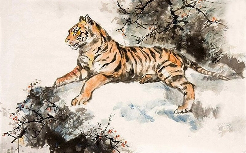 Mậu Dần sinh năm 1998 hợp màu vàng, nâu đất