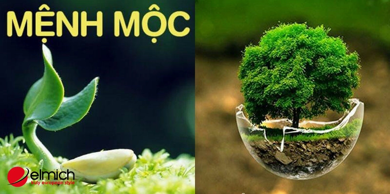 Màu xanh lá khiến cho vận khí của người sinh năm 1990 không được tốt