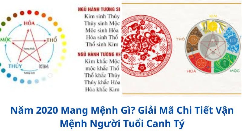 nam-2020-mang-menh-gi