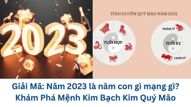 nam-2023-la-nam-con-gi-mang-gi