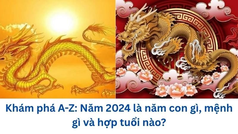 nam-2024-la-nam-con-gi-menh-gi