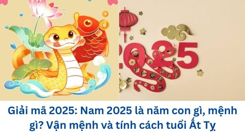 nam-2025-la-nam-con-gi-menh-gi