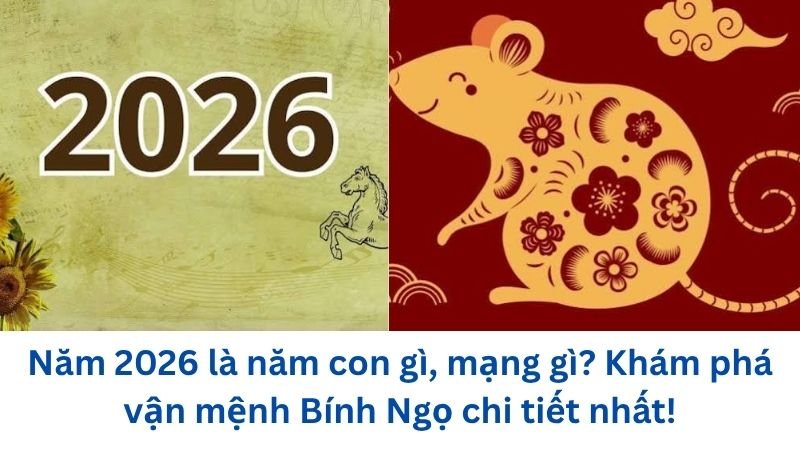 nam-2026-la-nam-con-gi-mang-gi