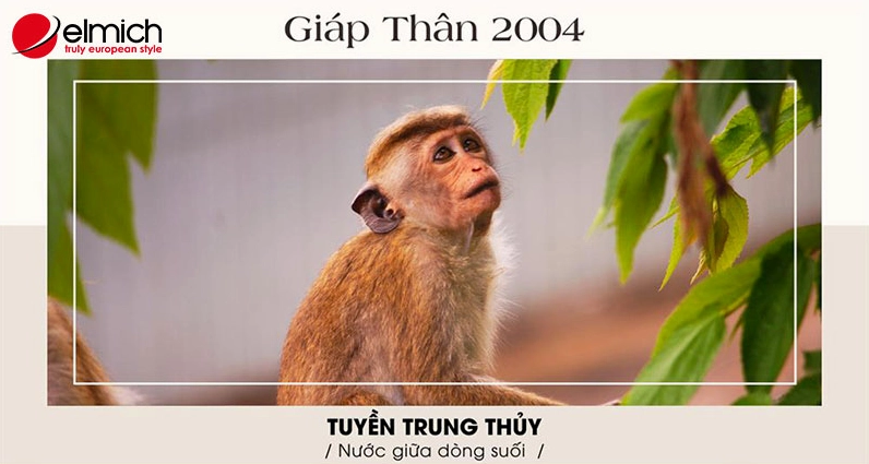 Nam, nữ sinh năm 2004 là tuổi Giáp Thân, là năm con khỉ