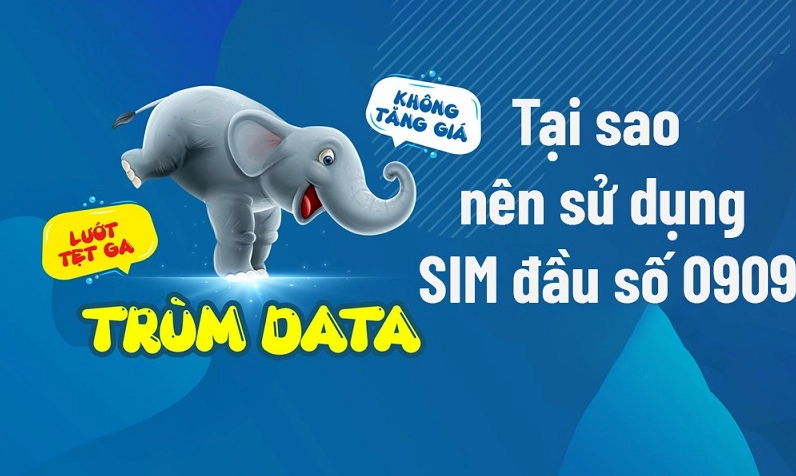 Nên mua SIM có đầu số 0909 ở đâu?