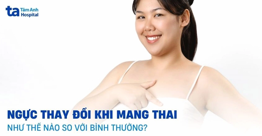 Ngực thay đổi khi mang thai như thế nào so với lúc bình thường?