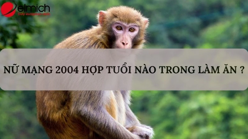 Nữ mạng Giáp Thân 2004 nên chọn Đinh Sửu và Bính Tuất để làm ăn chung