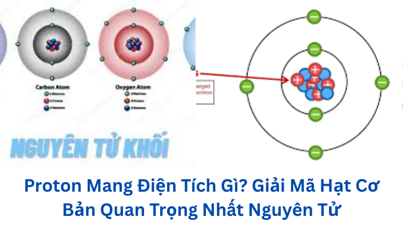 proton-mang-dien-tich-gi
