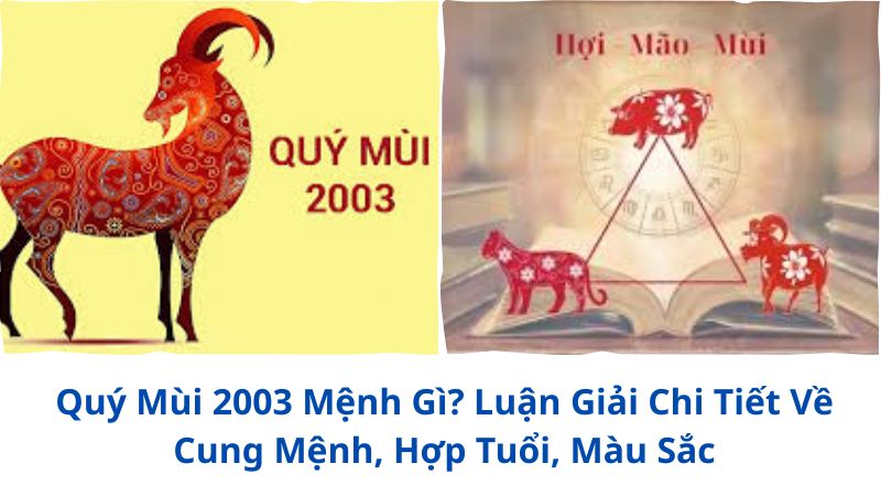 quy-mui-mang-gi