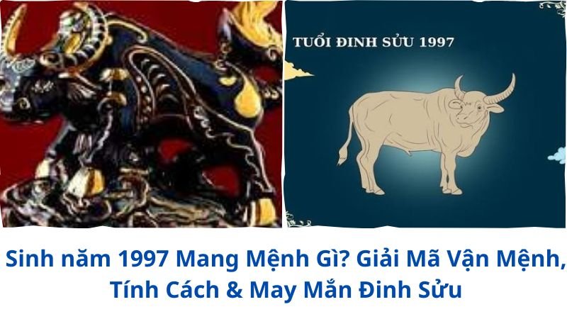 sinh-nam-1997-mang-menh-gi