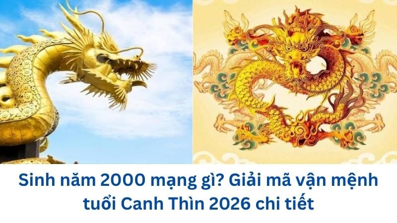sinh-nam-2000-mang-gi
