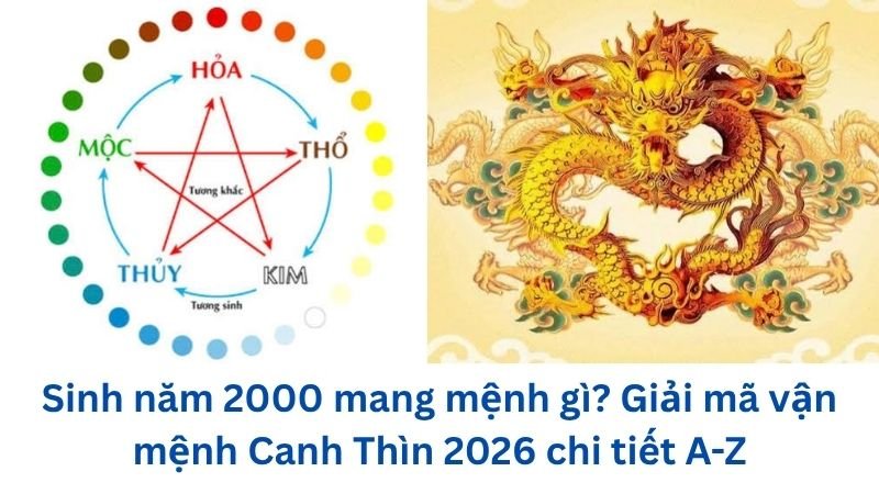 sinh-nam-2000-mang-menh-gi