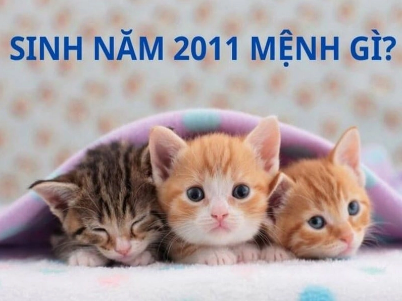 Sinh năm 2011 mệnh gì? Tổng quan về vận mệnh và tính cách