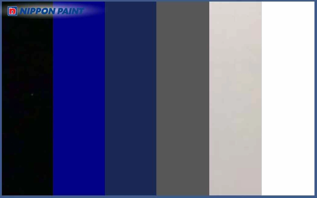 Sinh năm 2016 kỵ màu đen, xanh dương, navy, trắng, xám, ghi