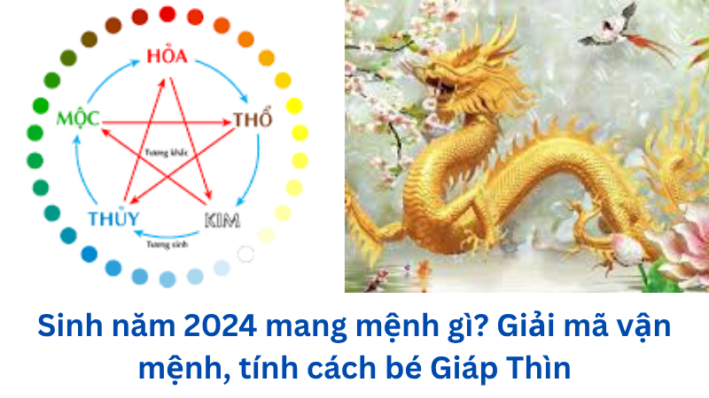 sinh-nam-2024-mang-menh-gi
