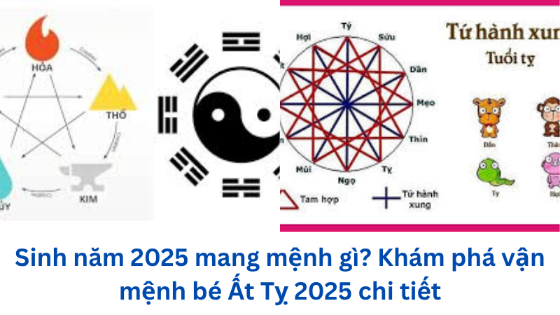 sinh-nam-2025-mang-menh-gi